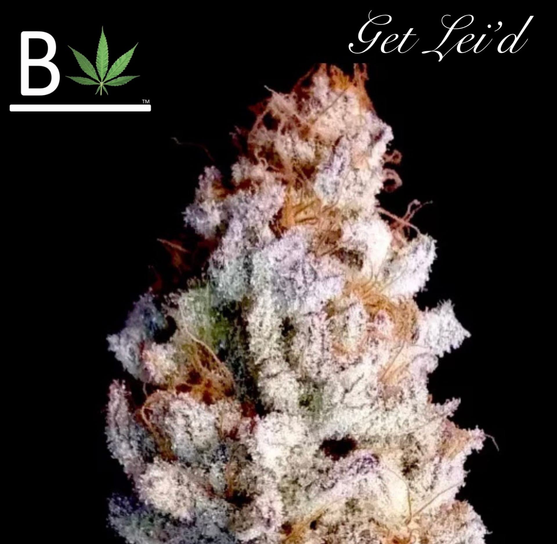 GET LEID