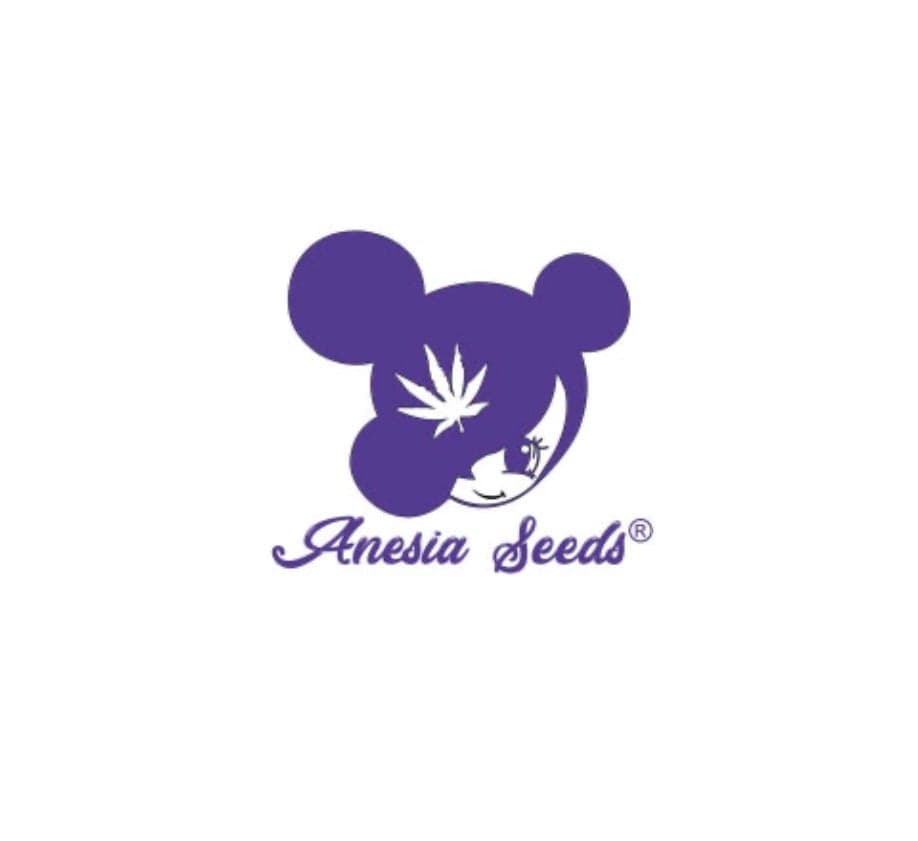 Anesia Seeds