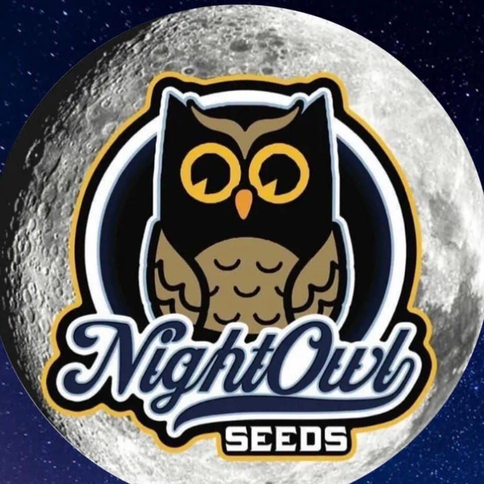 Night Owl Seeds